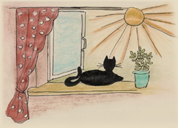 Jak w Bajce- o kocie i fajce