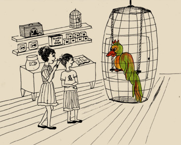 Bajeczki Danusi- Papuga