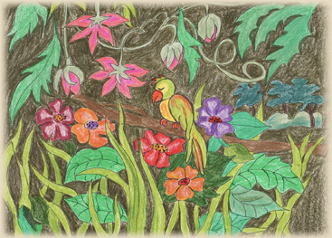 Bajeczki Danusi- Papuga