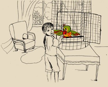 Bajeczki Danusi- Papuga