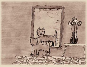 Bajeczki Danusi- Płatek