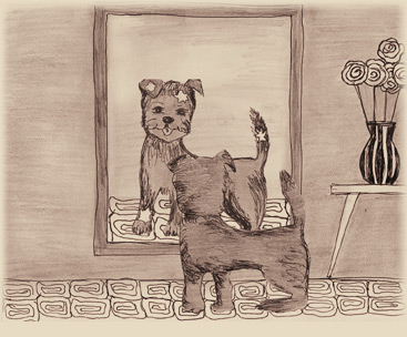 Bajeczki Danusi- Płatek